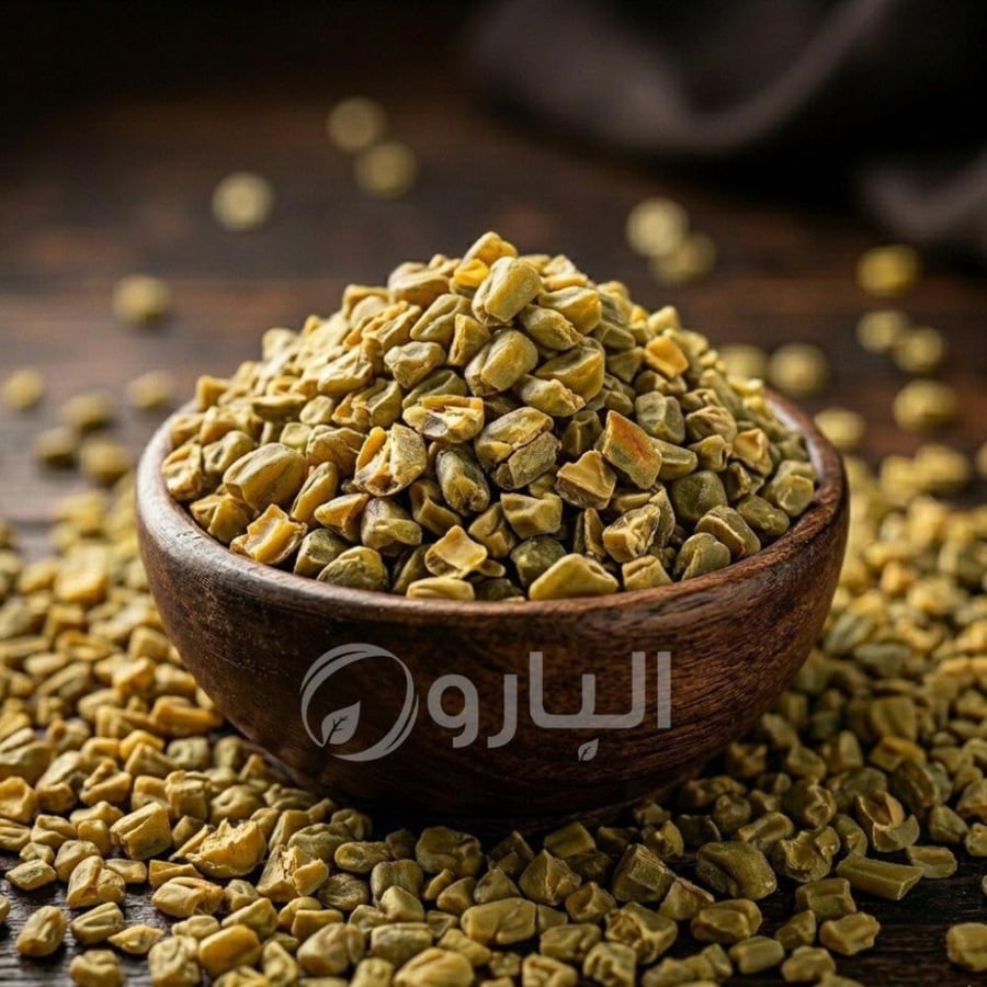 حلبة القصيم حب درجة اولى