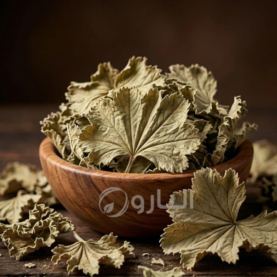 عباية السيدة شراب - 50ج