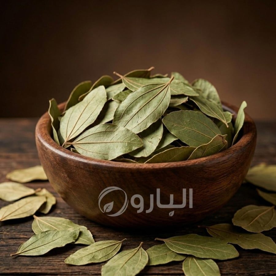 سدر ورق فاخر