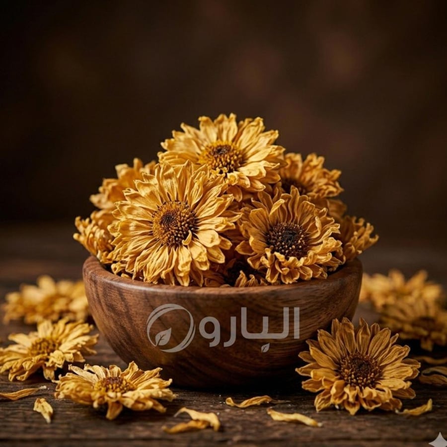اقحوان مجفف