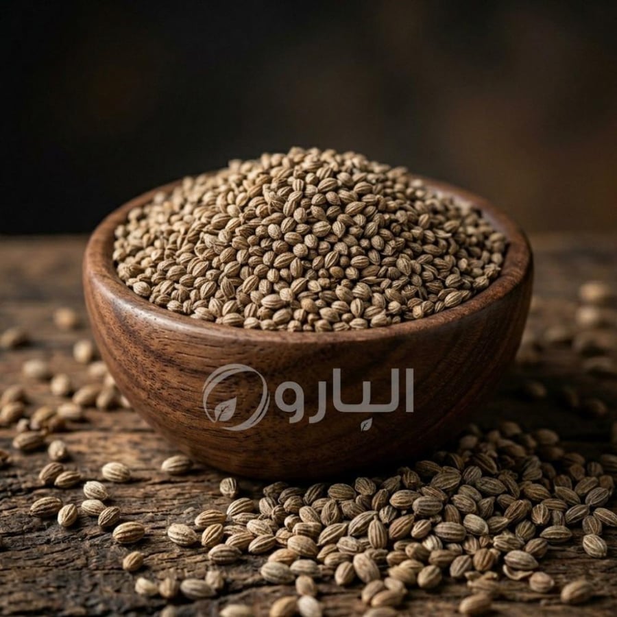 بذر الخلة برية (ش)
