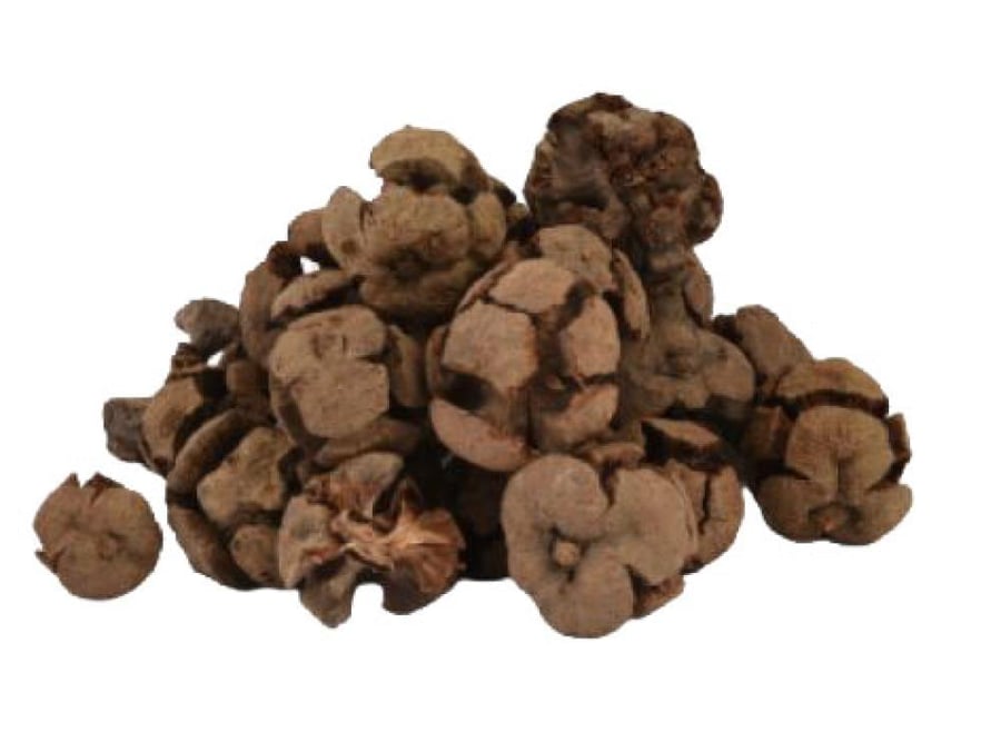 تفاح ادم (تفاح الجن)