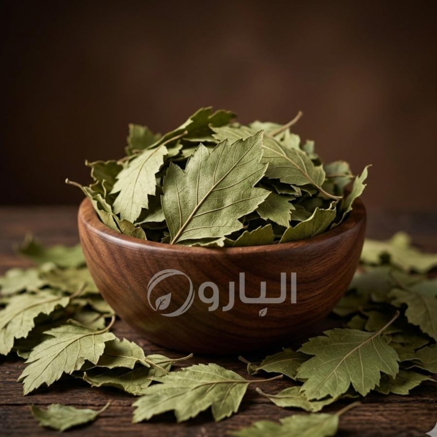 عشبة ورق  الزعرور