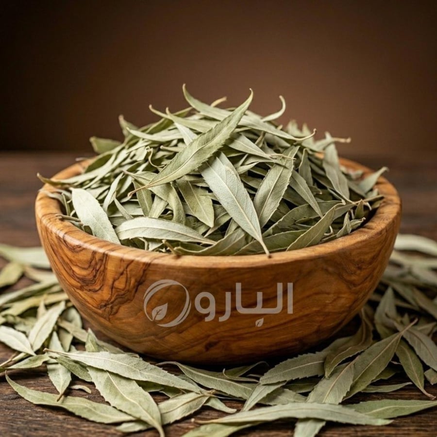 ورق الصفصاف