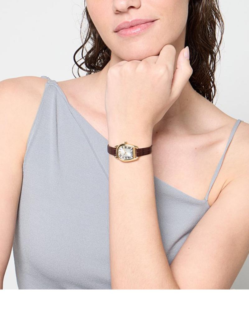 ساعة aigner
