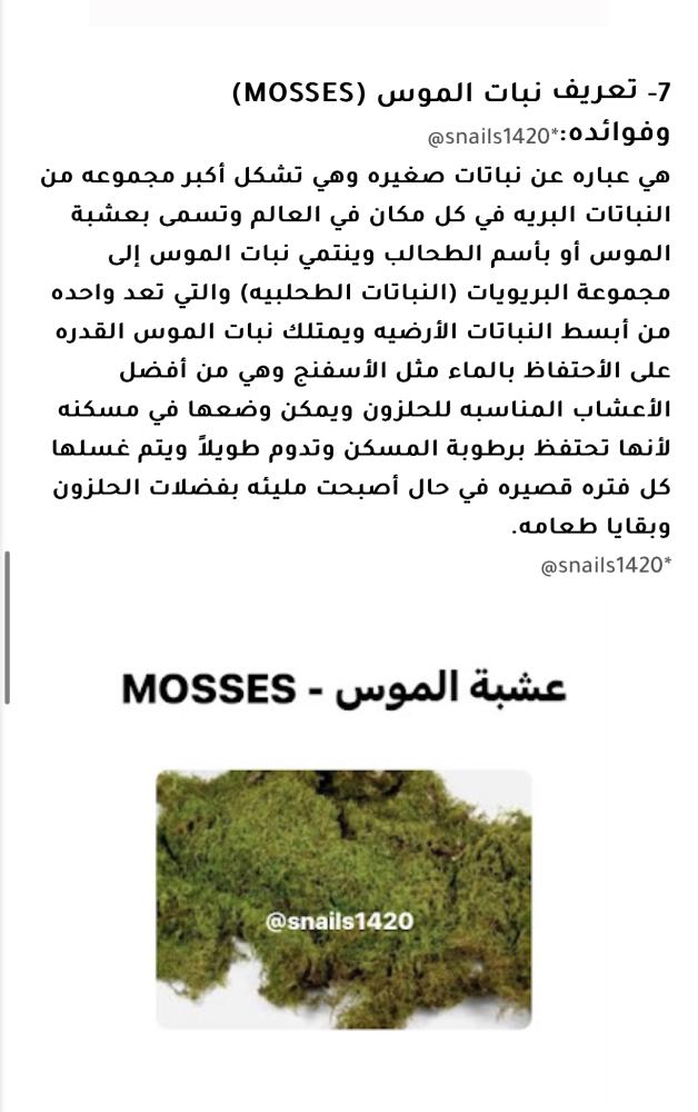 نبات الموس مستورد 'لمسكن الحلزون'