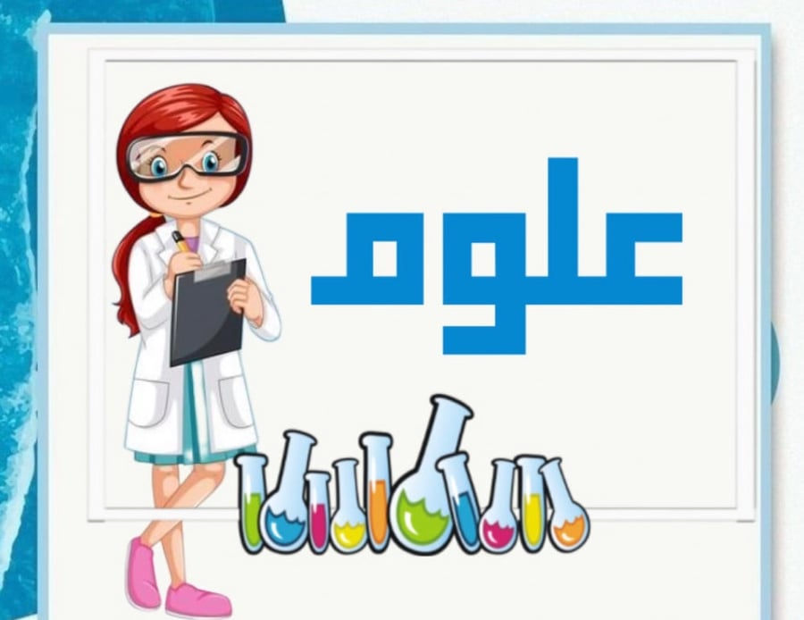 دفتر علوم 80 ورقة