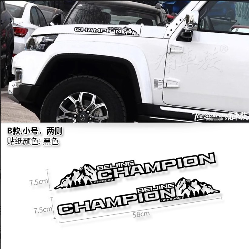 ستكر كتابة Champion