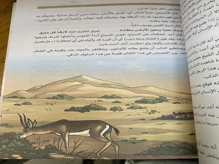 الذئب العربي حياته وطباعه وعلاقته بالانسان