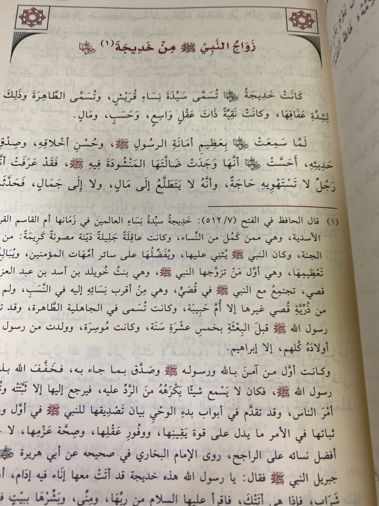 اللؤلؤ المكنون في سيرة النبي المأمون 4 مجلدات