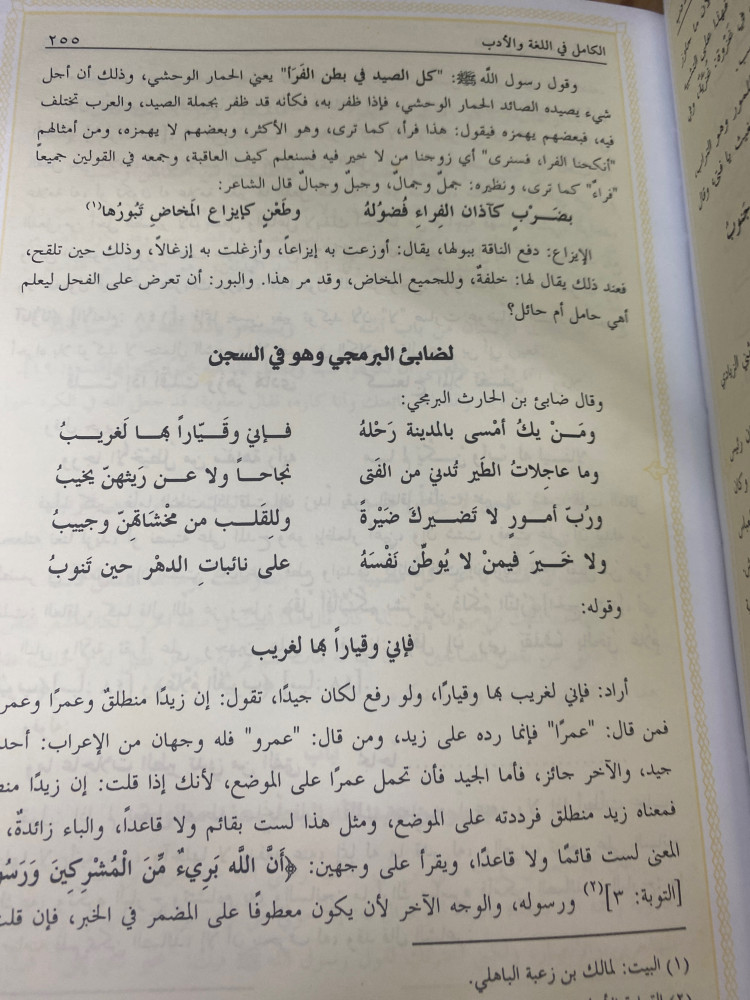الكامل في اللغة والادب