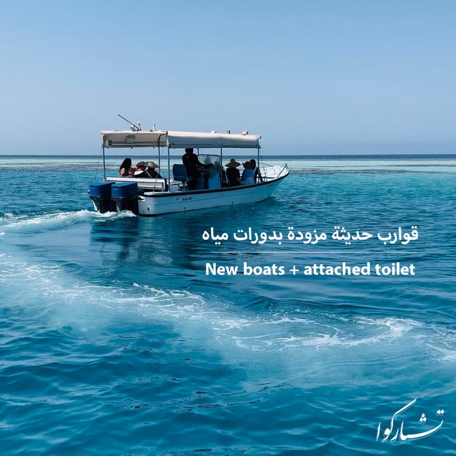 رحلات بياضة الخاصة