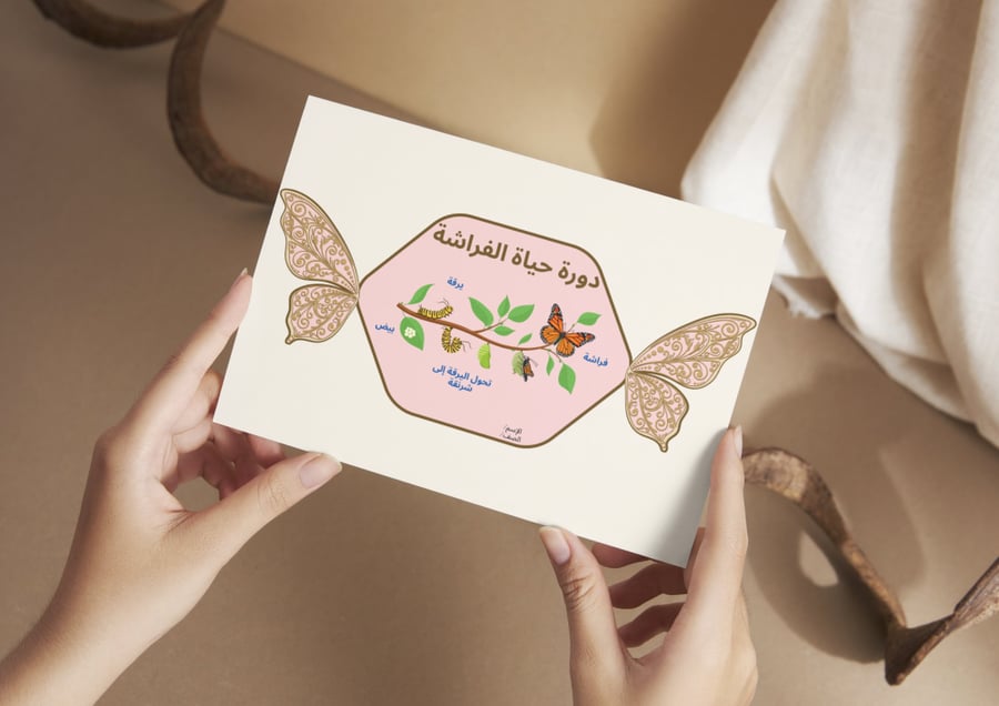 دورة حياة الفراشة