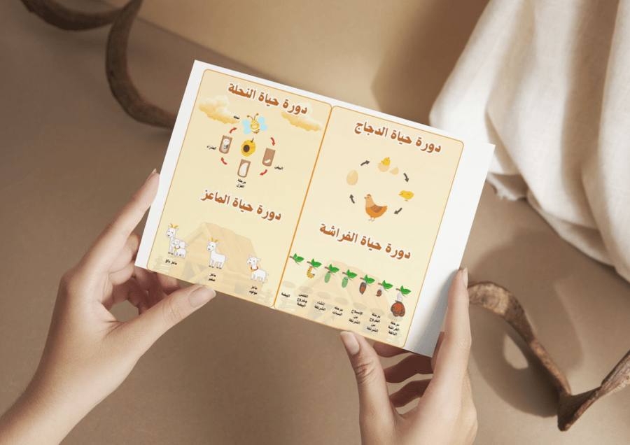 مطوية دورة حياة الحيوان
