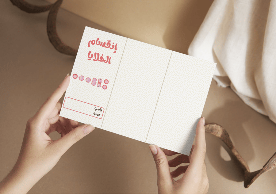 مطوية إنقسام الخلايا