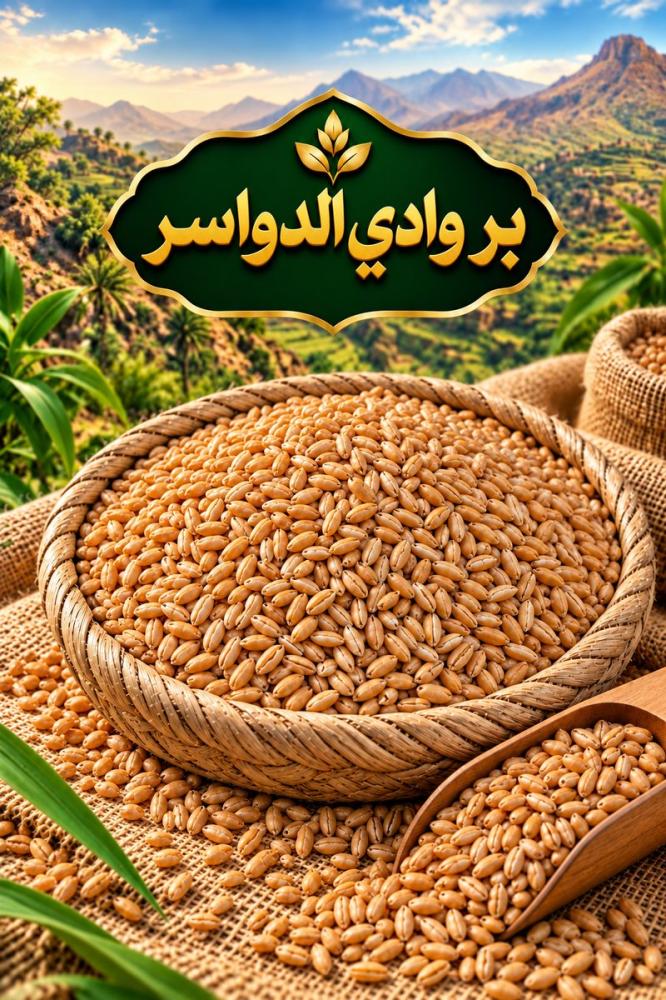 بر وادي الدواسر