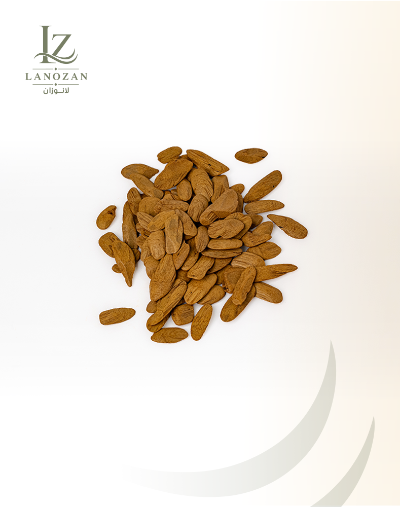 صدف العود