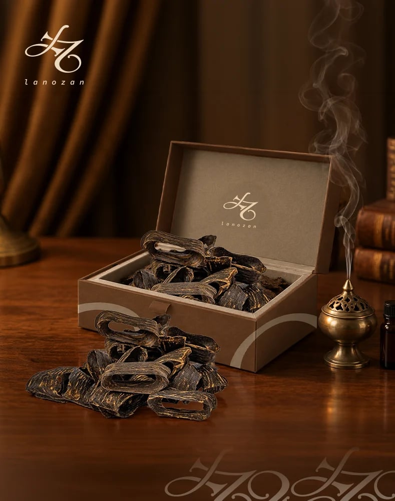 عود قواقع سوبر