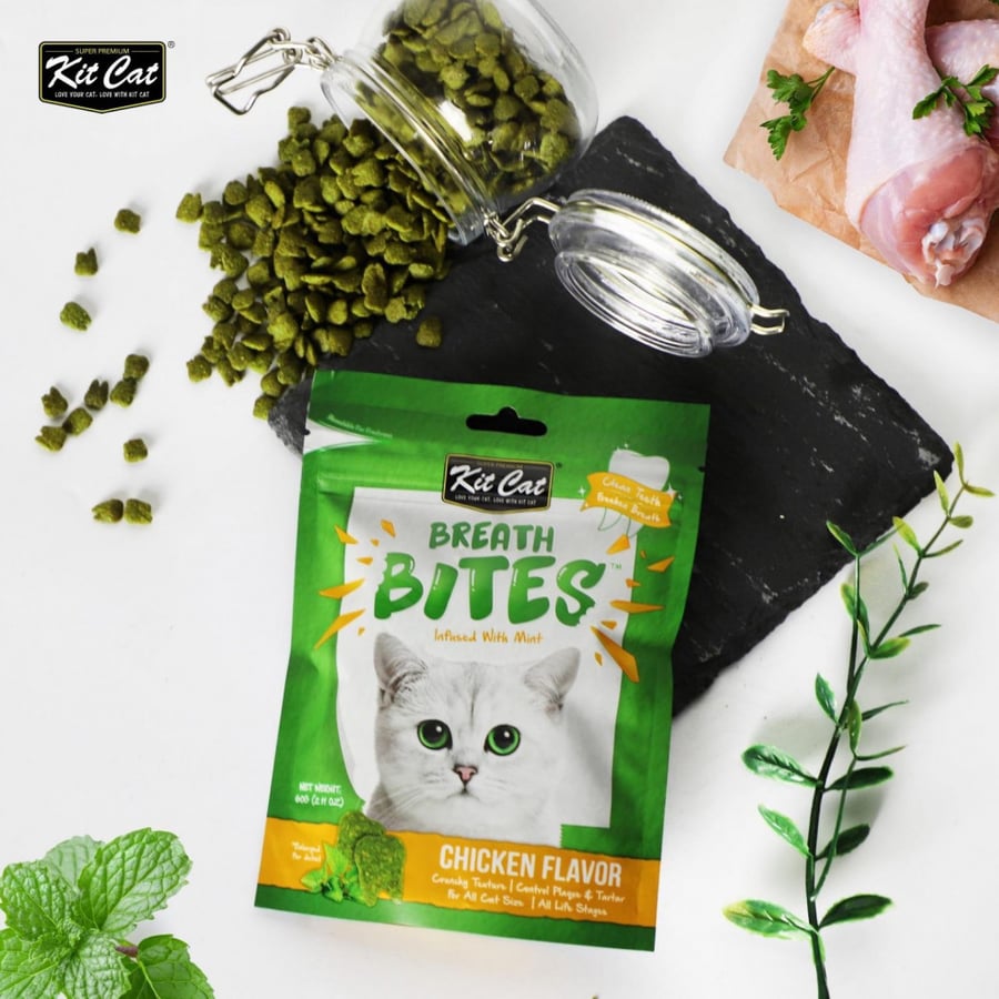 KitCat Chicken Flavor Dental Treat