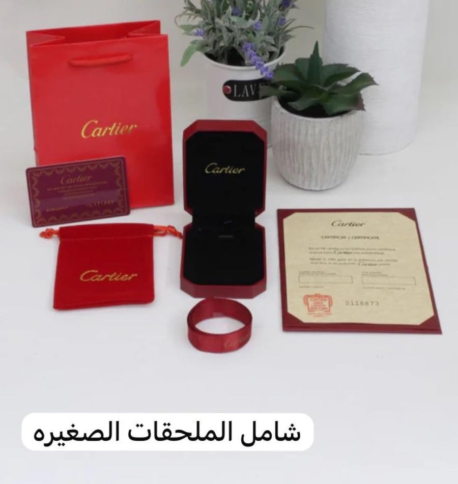 سلسال كارتير فضي مع الملحقات