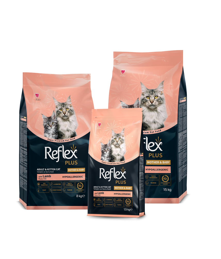ريفلكس بلس طعام جاف للقطط الأم وصغارها بلحم الضأن  1.5kg