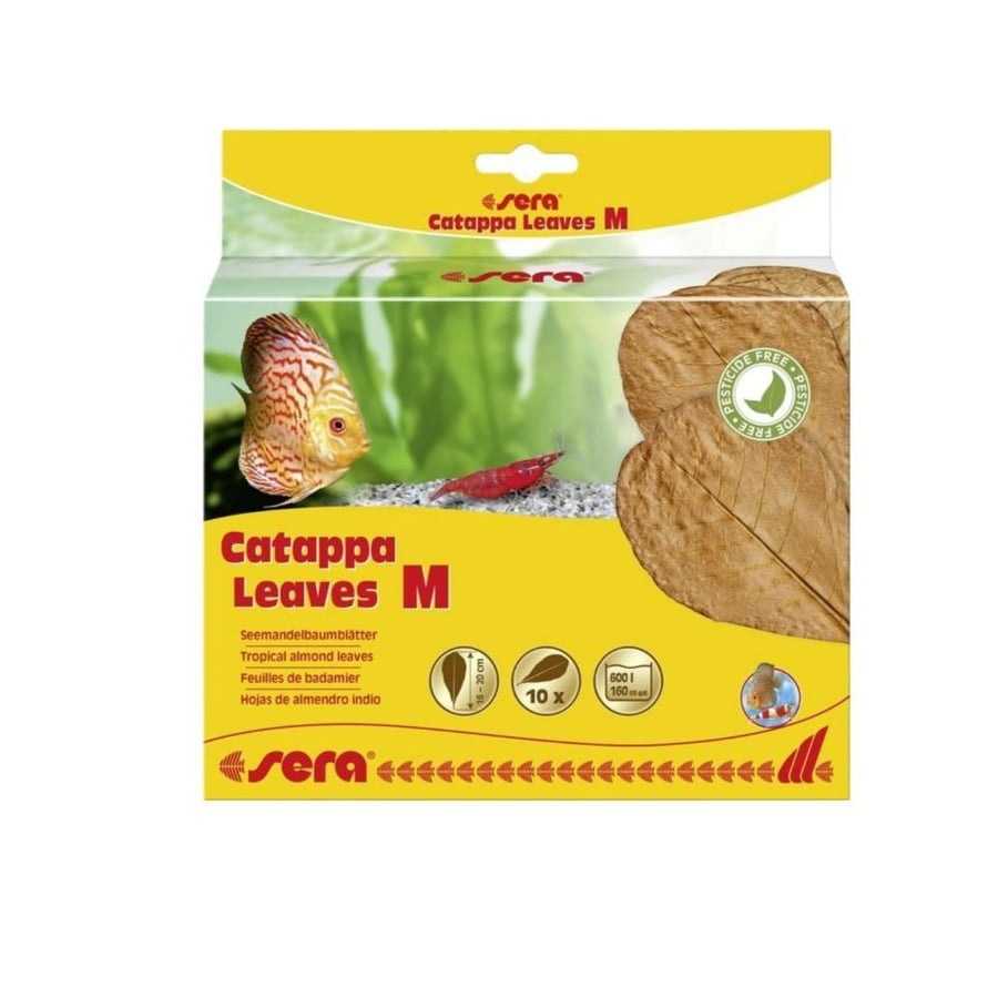 ورق الوز