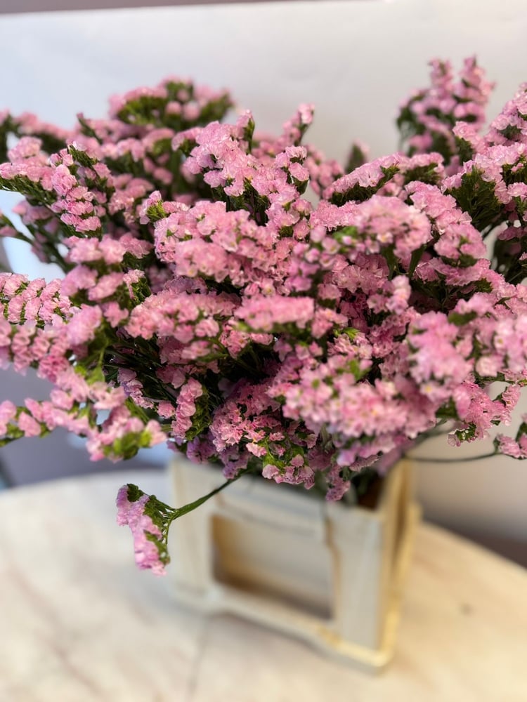 ستاتس بنك -Statuses Pink
