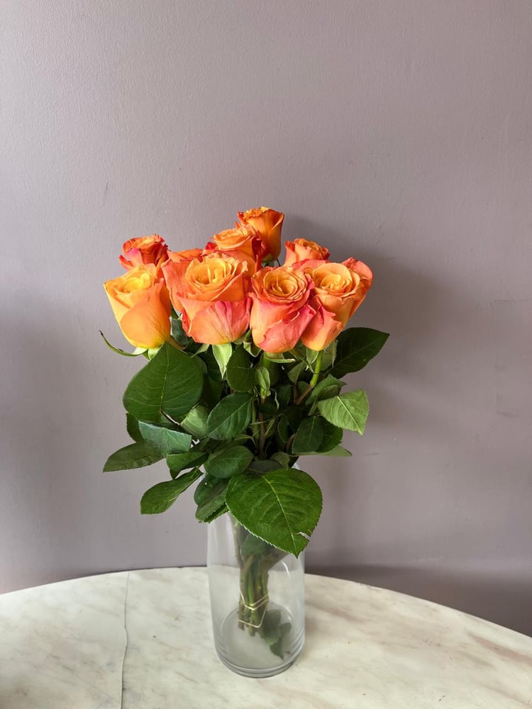روز اورنج  - Rose Orange