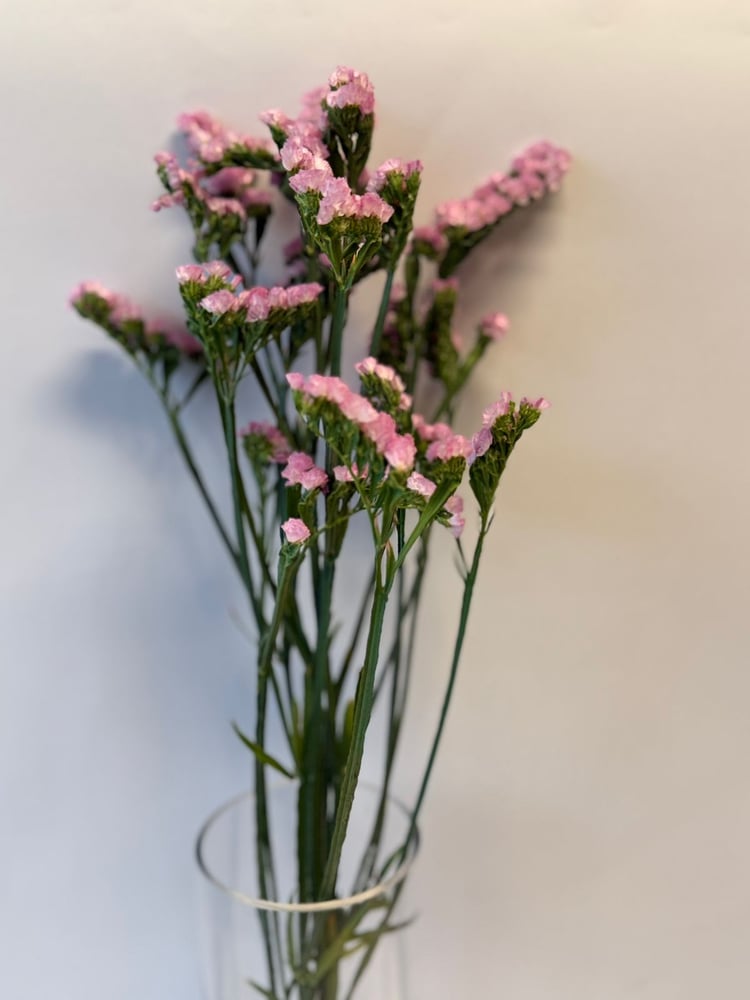 ستاتس بنك -Statuses Pink
