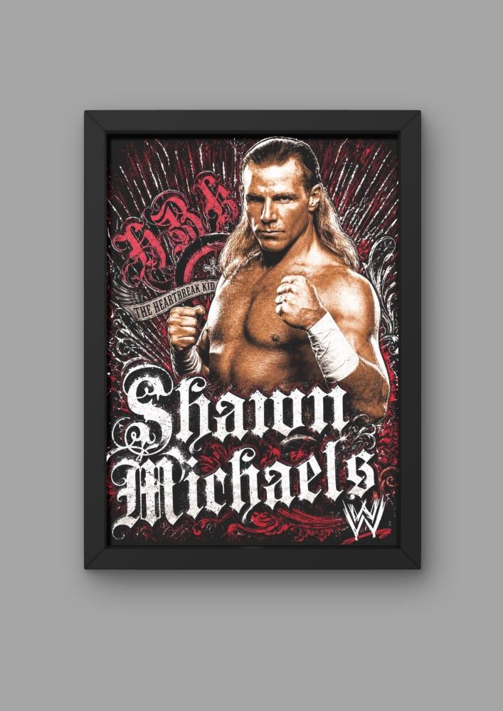 SHAWN MICHAELS