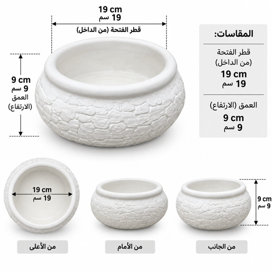 فازة جبس