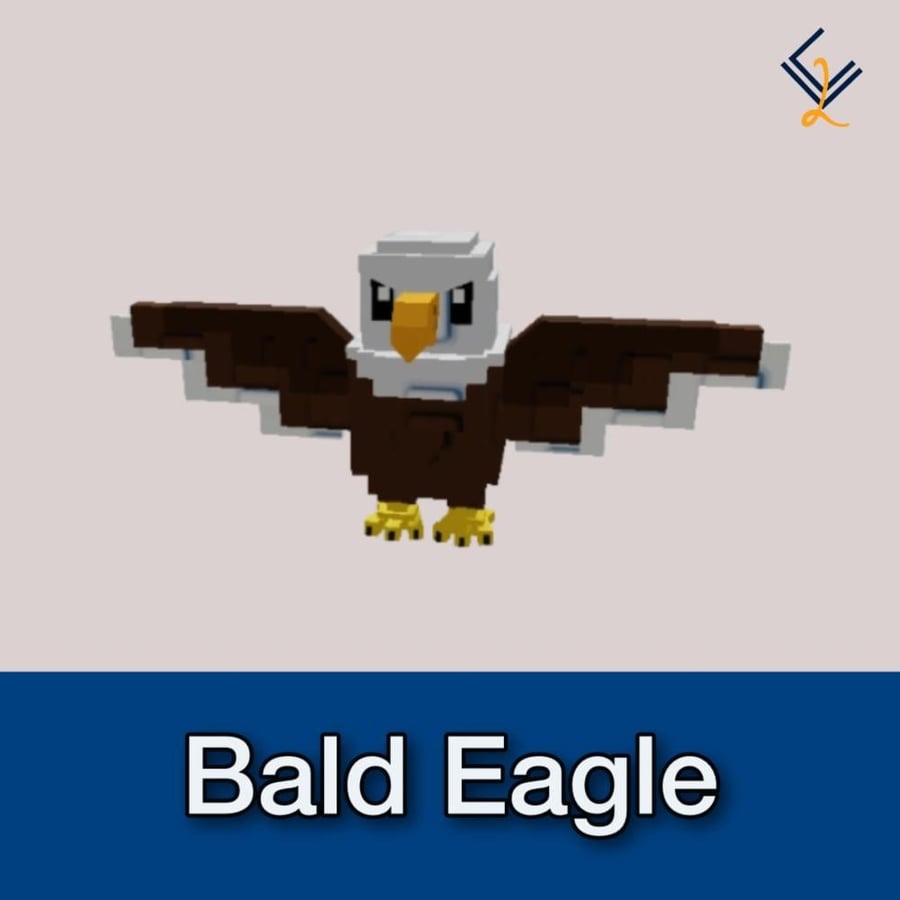 النسر - Bald Eagle | ماب المزرعة (2)