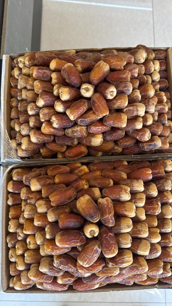 صقعي فاخر