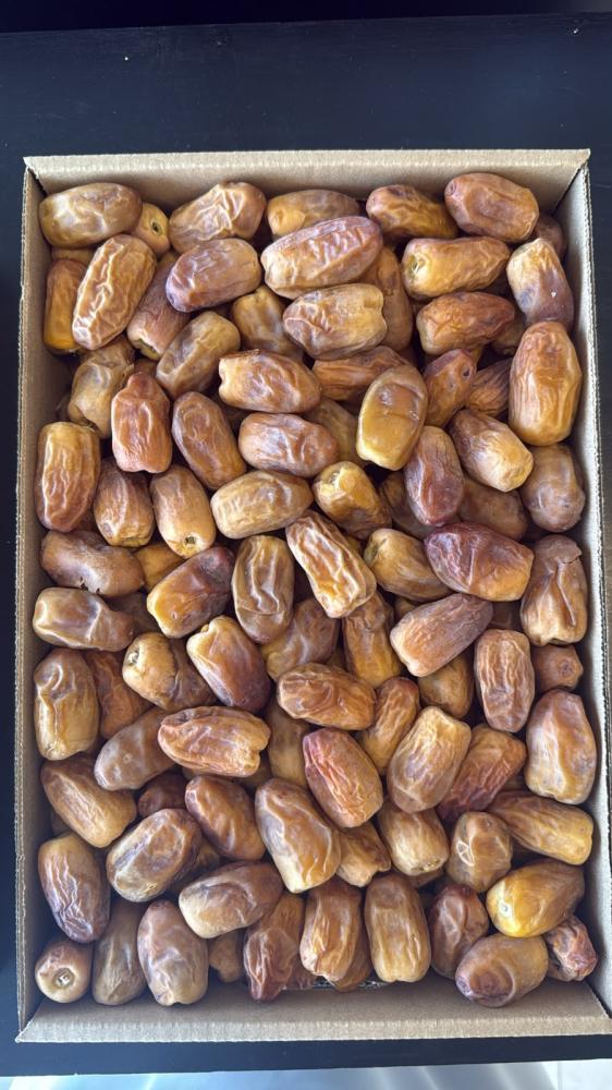 تمر رشودية