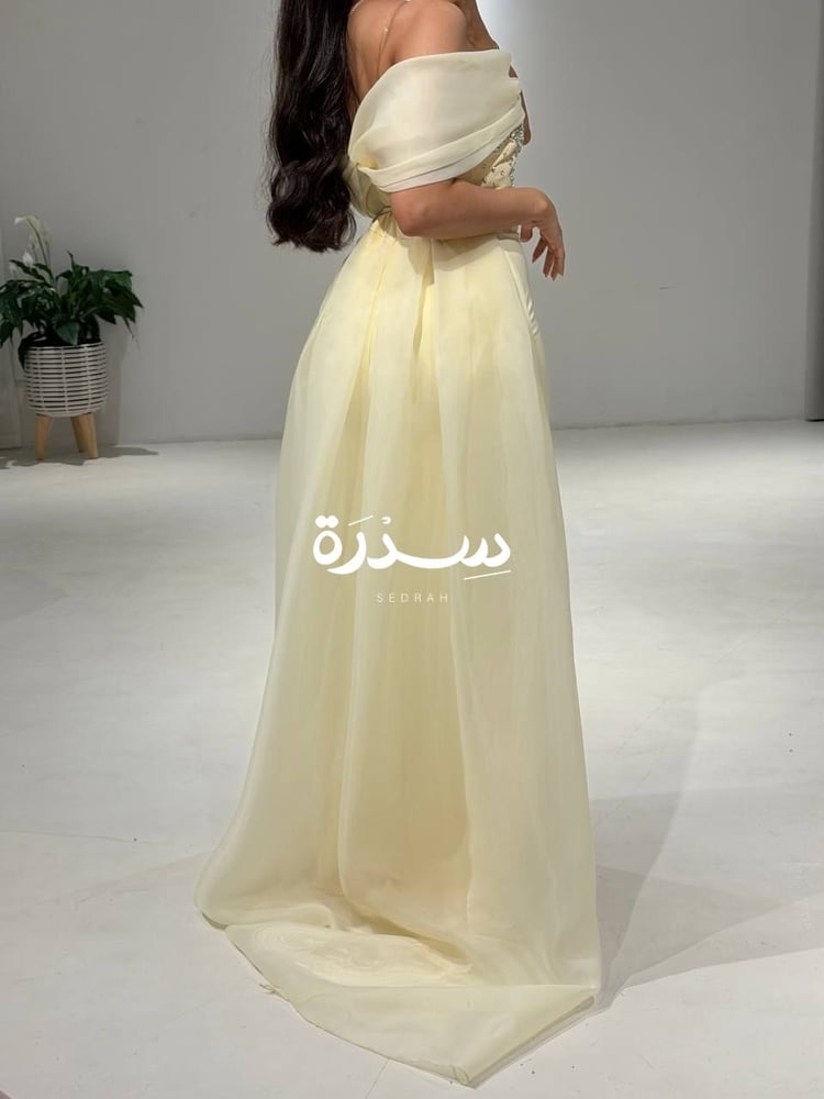 فستان سهرة كورسيه مزين بتطريز الكريستال