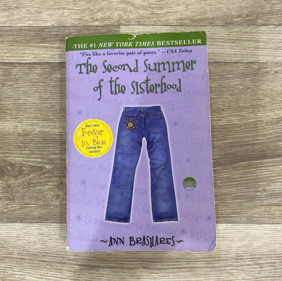 The second summer of the sisterhood
