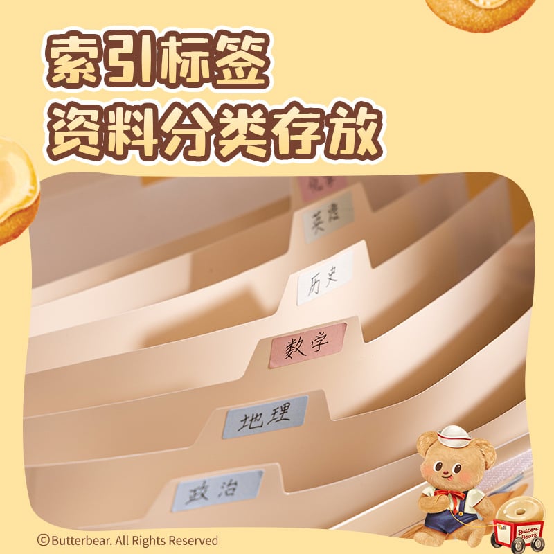 File storage bag