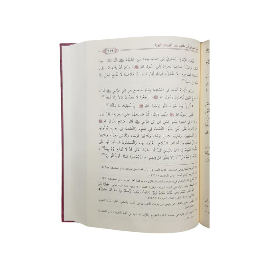 سيره ابى تراب  امير المؤمنين على بن ابى طالب رضى الله عنه