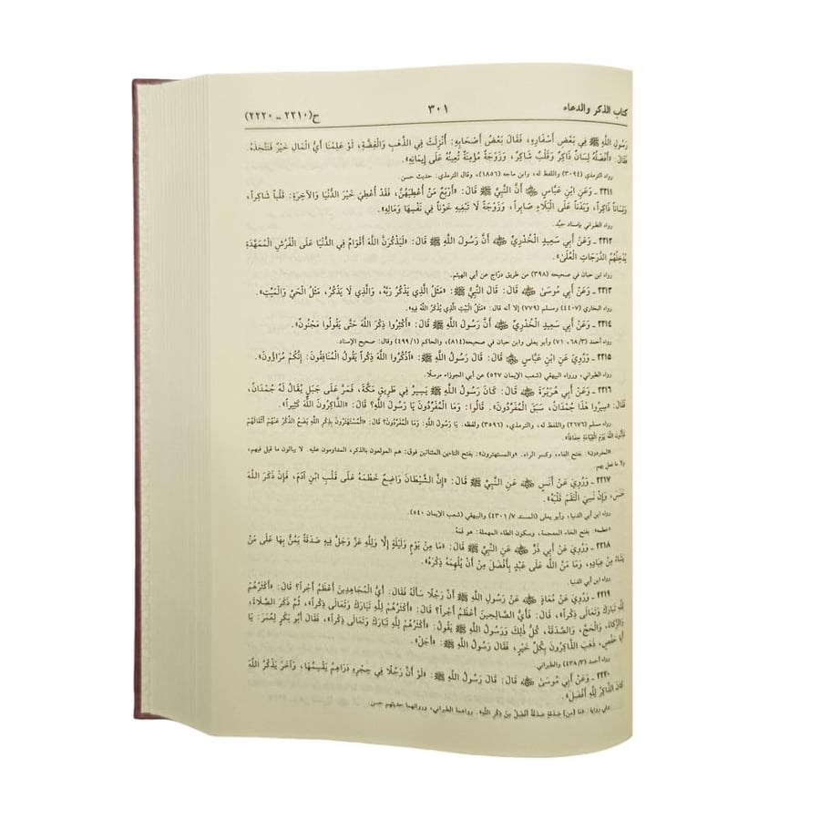 الترغيب و الترهيب  - ابن حزم