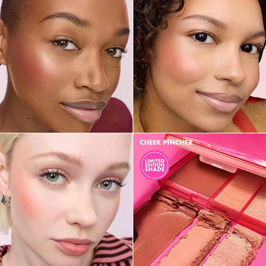 سيفورا مجموعة احمر الخدود وفرش المكياج بيرفكتلي بلاشد