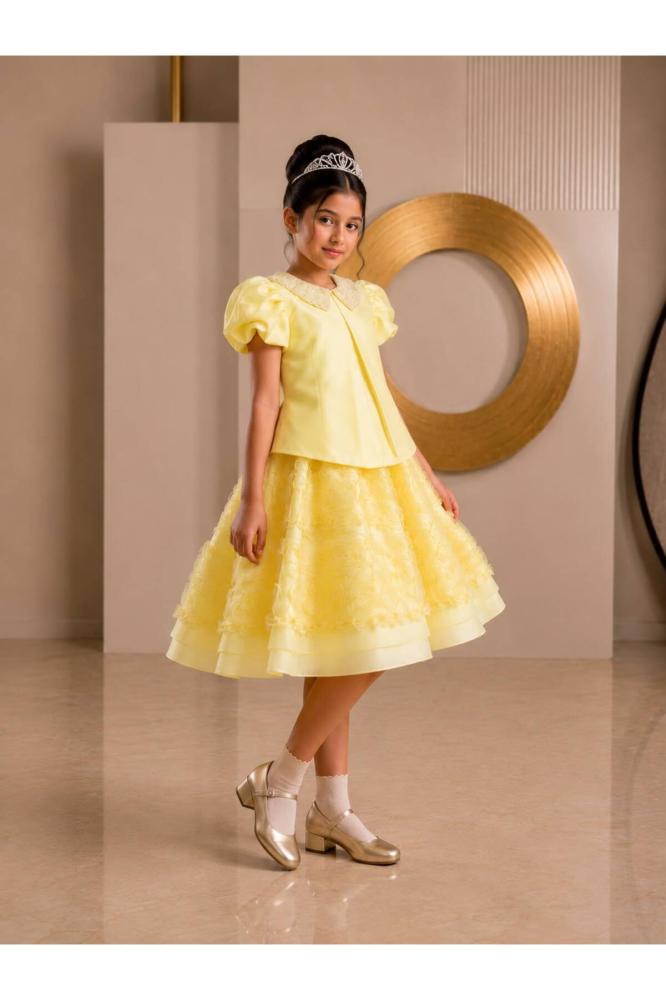 FT1004 image 1