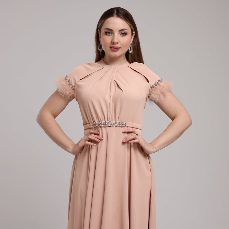 Embellished Feather-Sleeve Dress