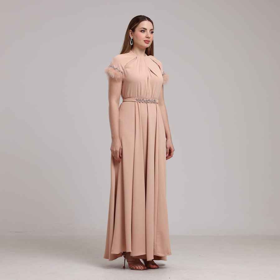 Embellished Feather-Sleeve Dress