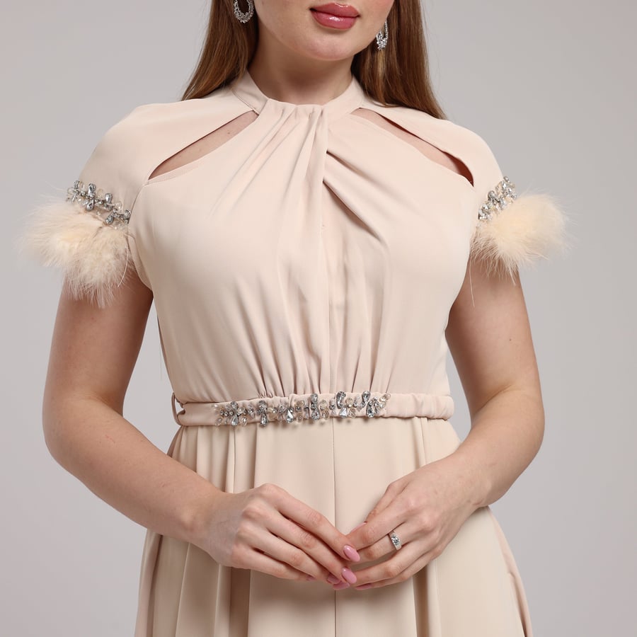 Embellished Feather-Sleeve Dress