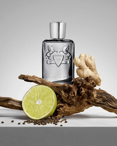 تستر عطر دي مارلي كاستلي 125 مل بدون كرتون