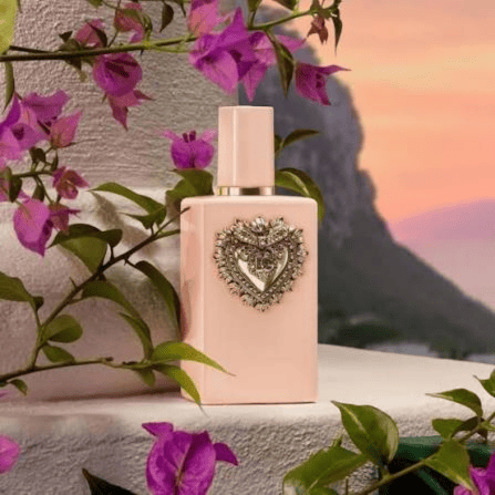 عطر دولتشي غابانا ماي ديفوشن او دو بارفيوم انتنس 100مل
