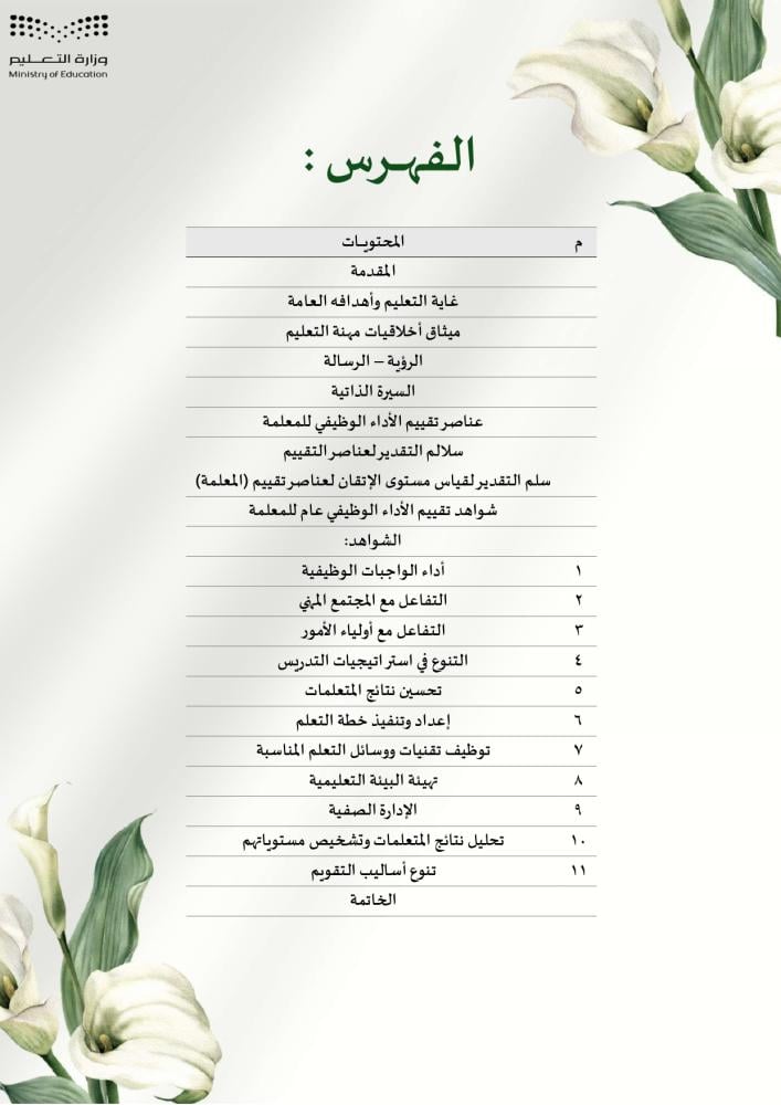 ملف الاداء الوظيفي - نموذج 29