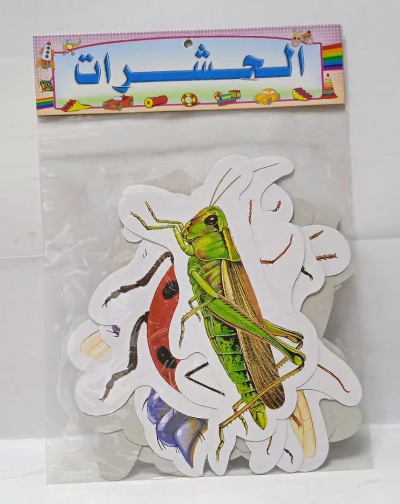 صور مقطعة / الحشرات