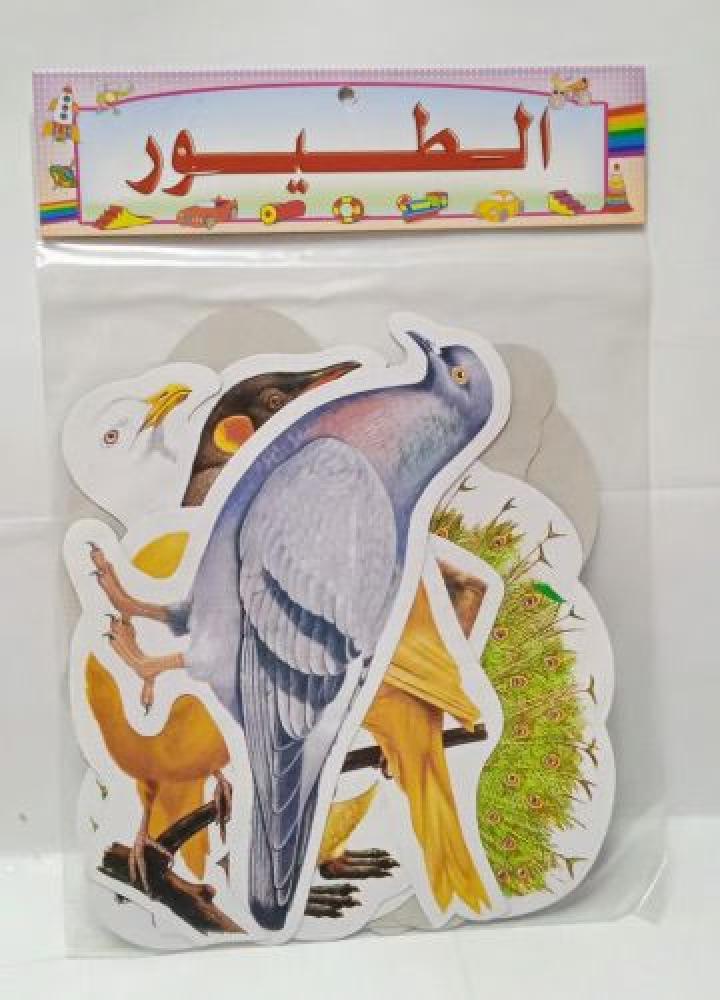 صور مقطعة / الطيور
