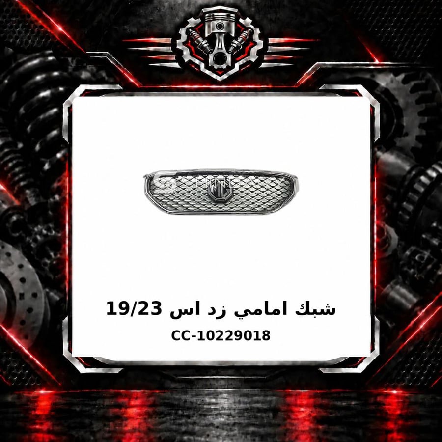 شبك امامي زد اس 19 23